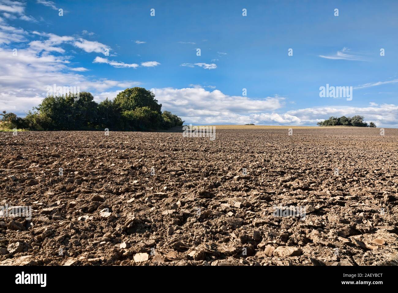 Champ labouré sur un jour nuageux Banque D'Images