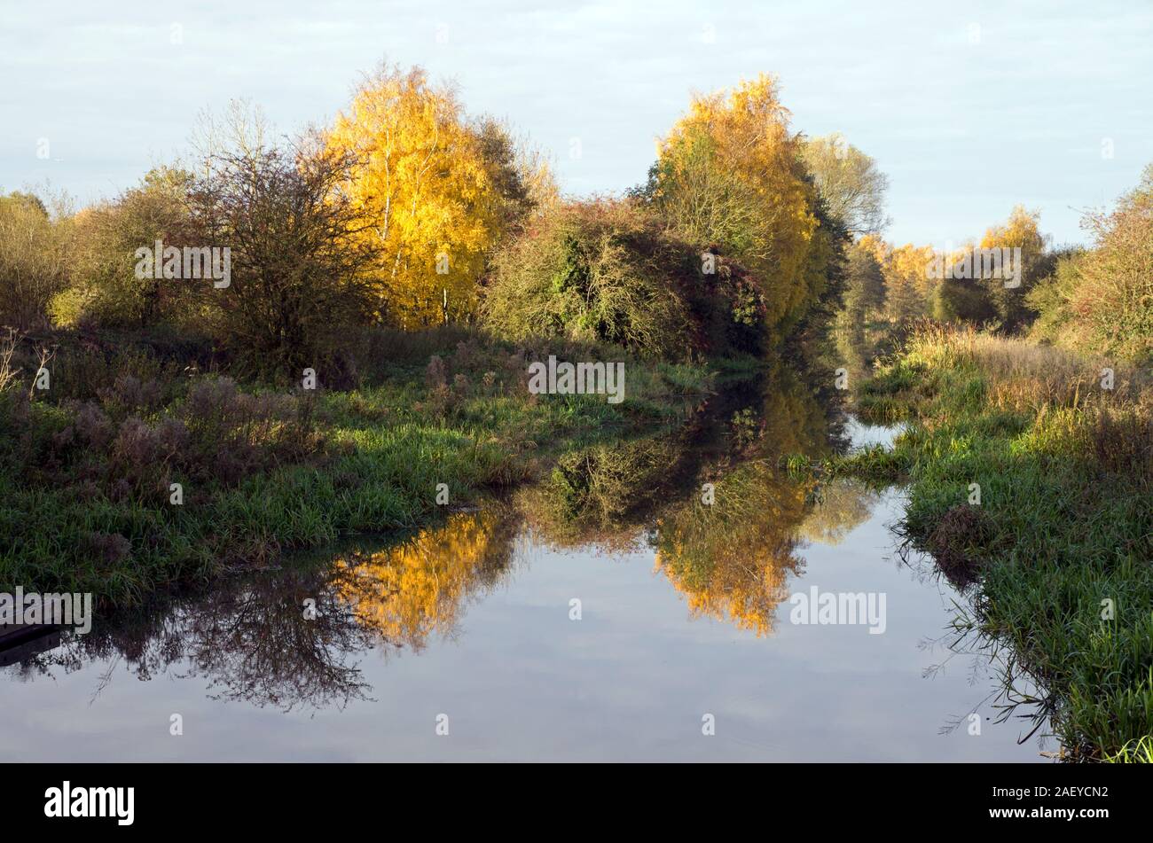 À l'automne Canal Pocklington Banque D'Images