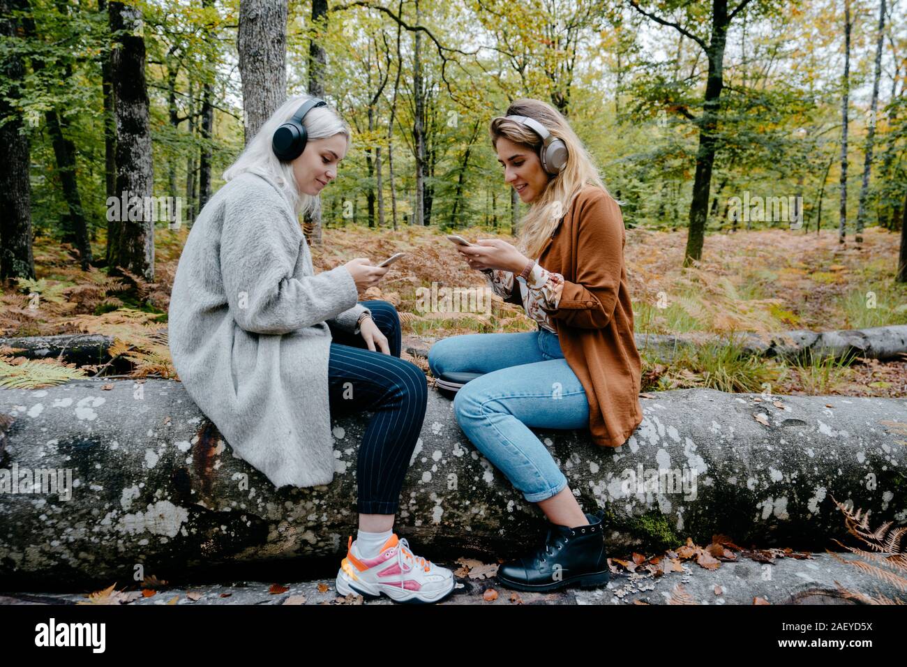 Les femmes en streaming vidéo sur leur smartphone dans une forêt à distance Banque D'Images