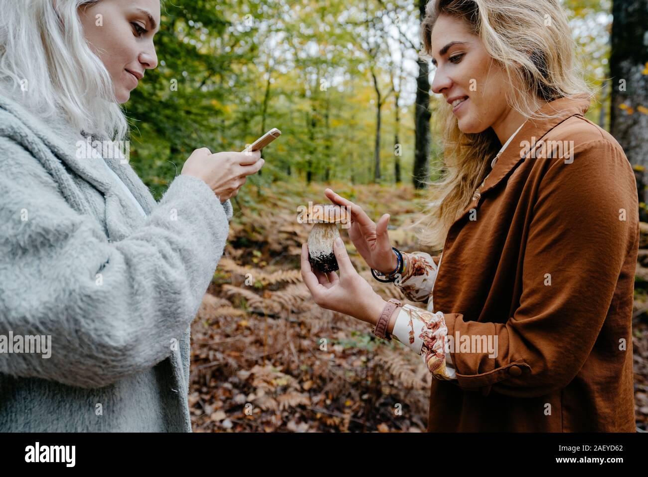 Les femmes à prendre des photos de champignons dans une forêt avec un téléphone Banque D'Images