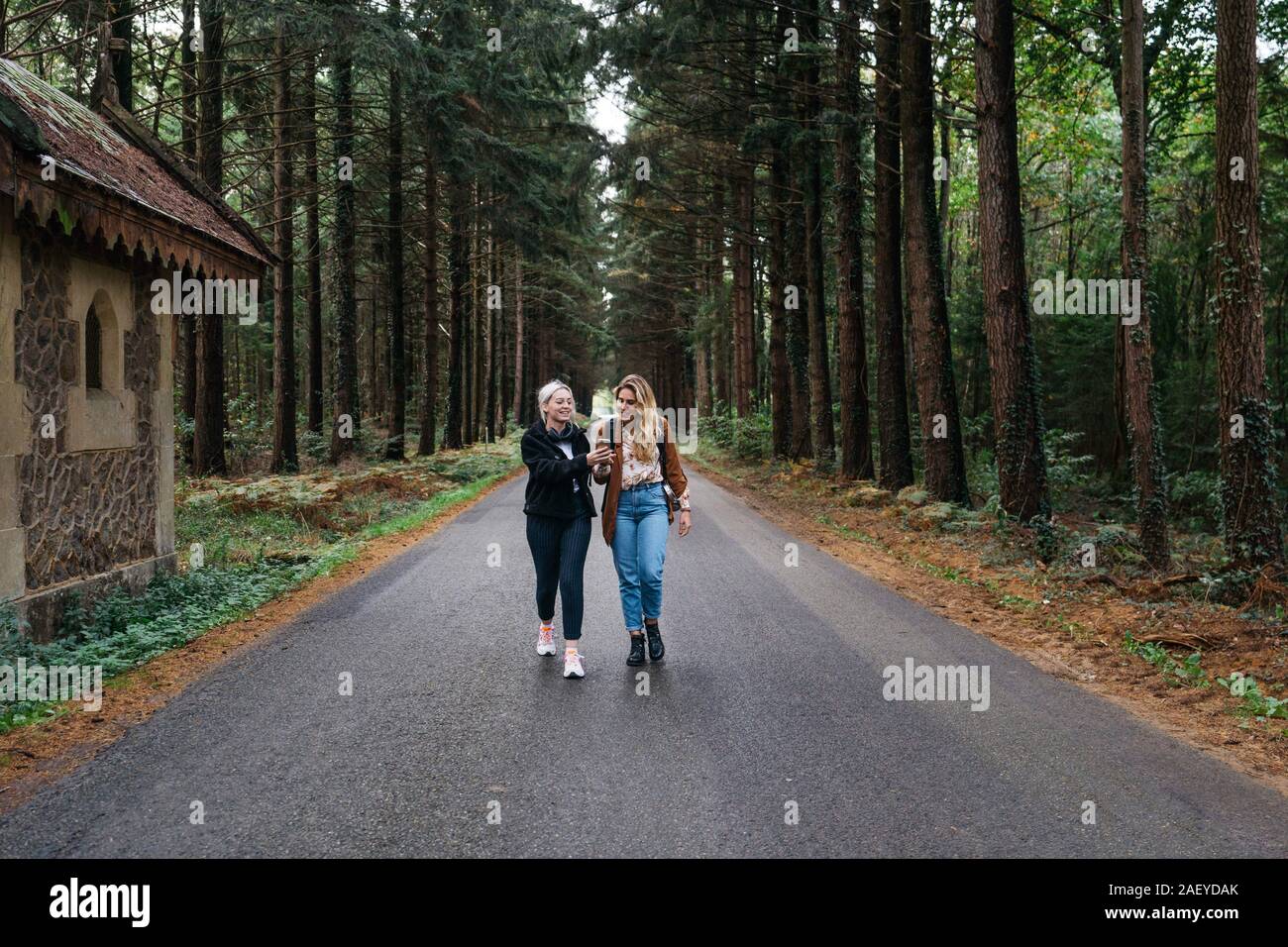 Deux femmes marchant sur une route dans la forêt tout en regardant son téléphone Banque D'Images