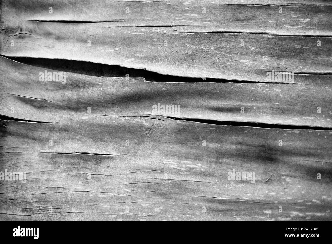 Élément de vieille planche en bois avec des fissures Banque D'Images