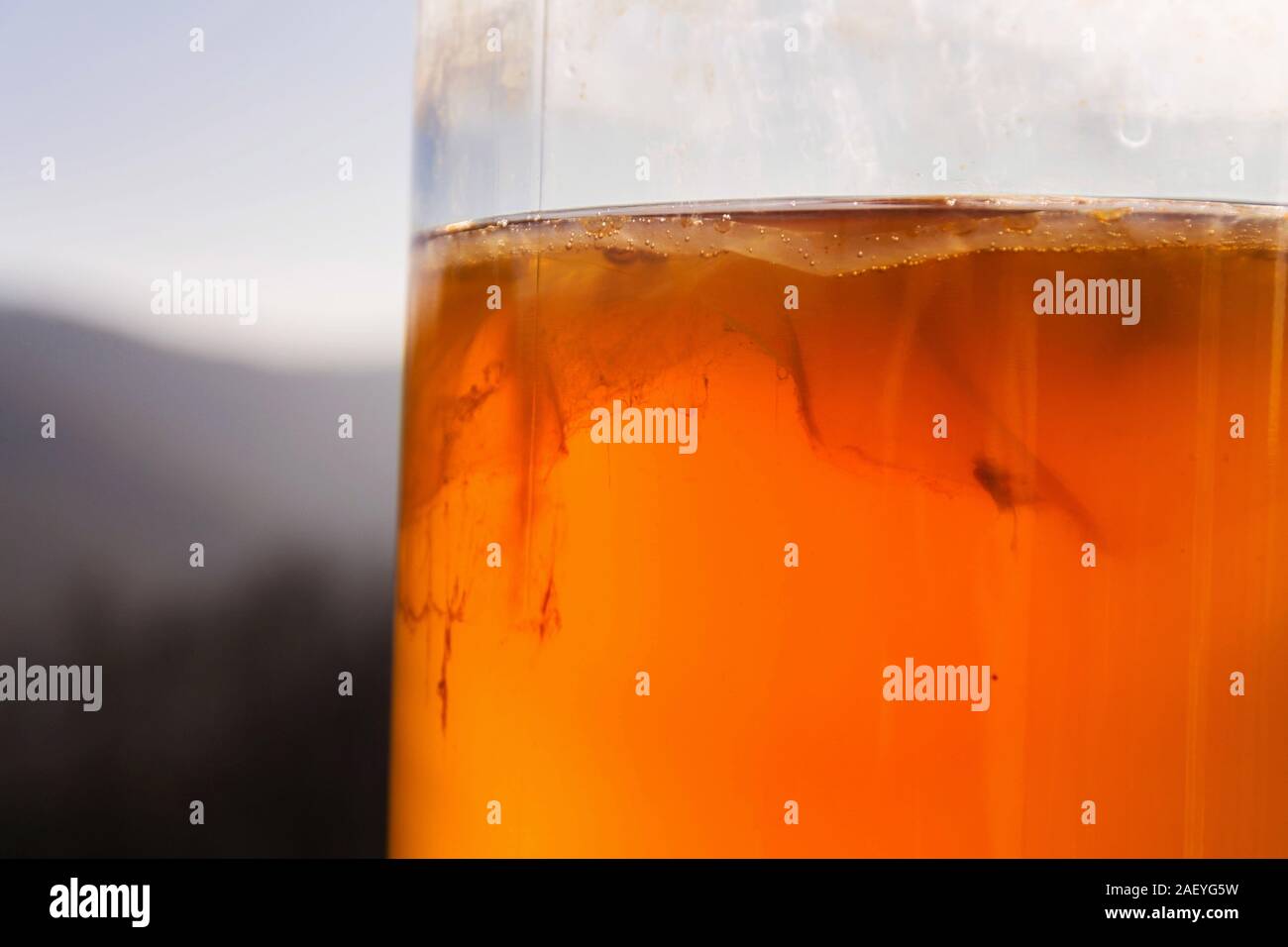 Kombucha fermenté naturel en pot de verre, boisson saine d'origine asiatique Banque D'Images