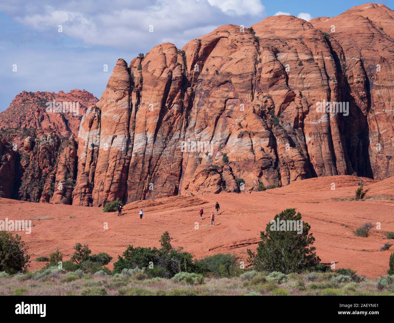 Les randonneurs sur les Dunes pétrifiées, Snow Canyon State Park, Saint George, Utah. Banque D'Images