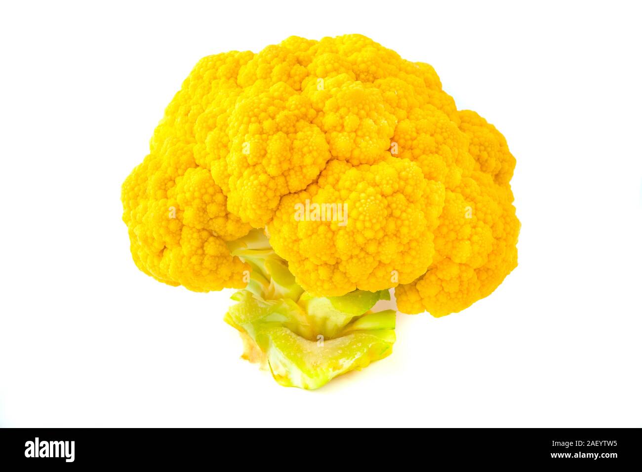 Chou-fleur orange sur fond blanc Banque D'Images