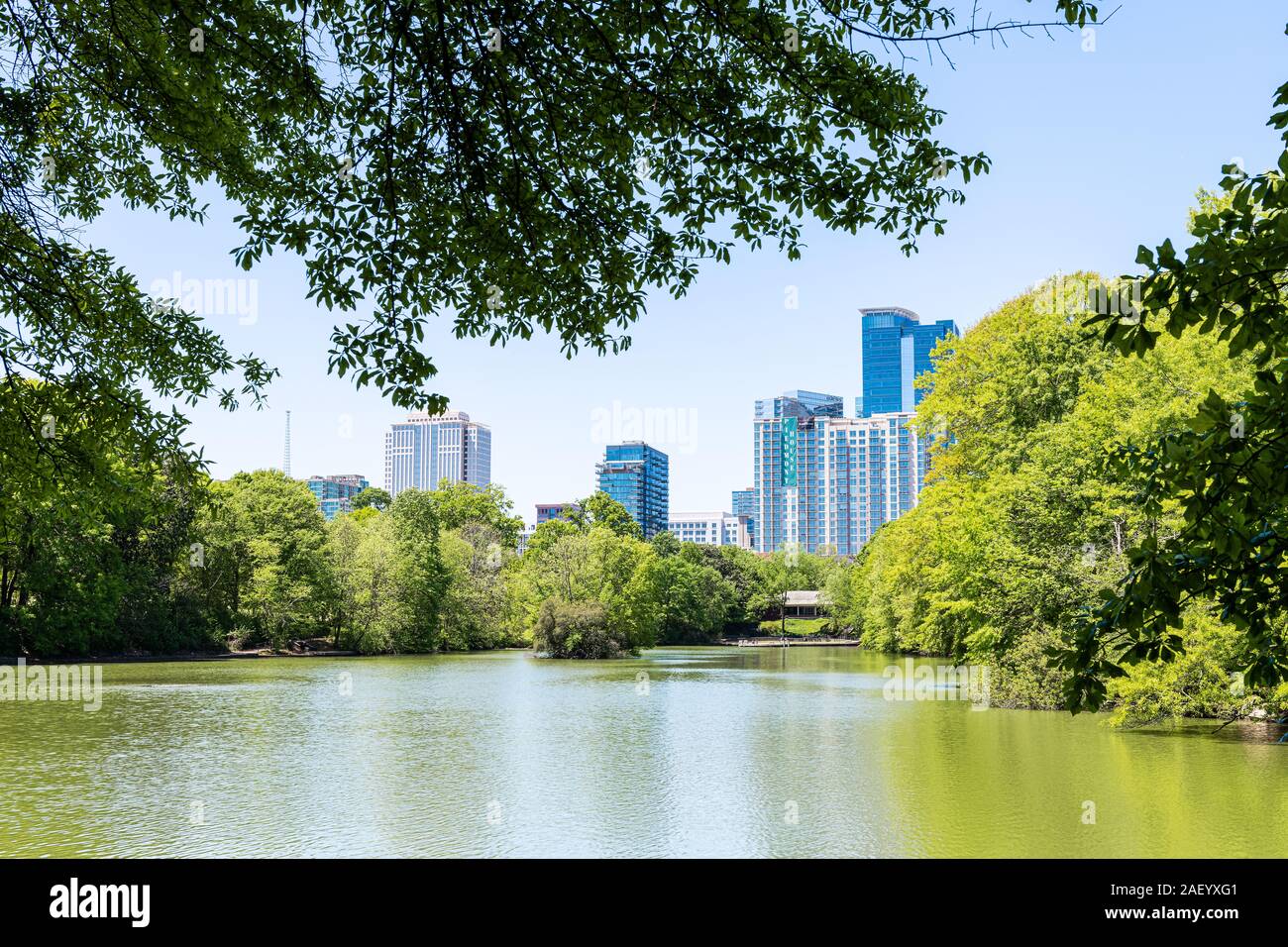 Atlanta, États-Unis - 20 Avril 2018 : vue sur l'horizon en Piedmont Park en Géorgie et arbres verts urban city skyscrapers downtown au lac Clara Meer Banque D'Images