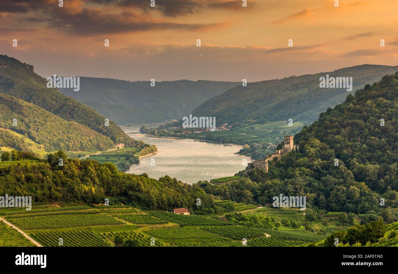 Danube dans vallée de la Wachau avec de vieilles ruines d'Hinterhaus château. Spitz. Basse Autriche. Banque D'Images