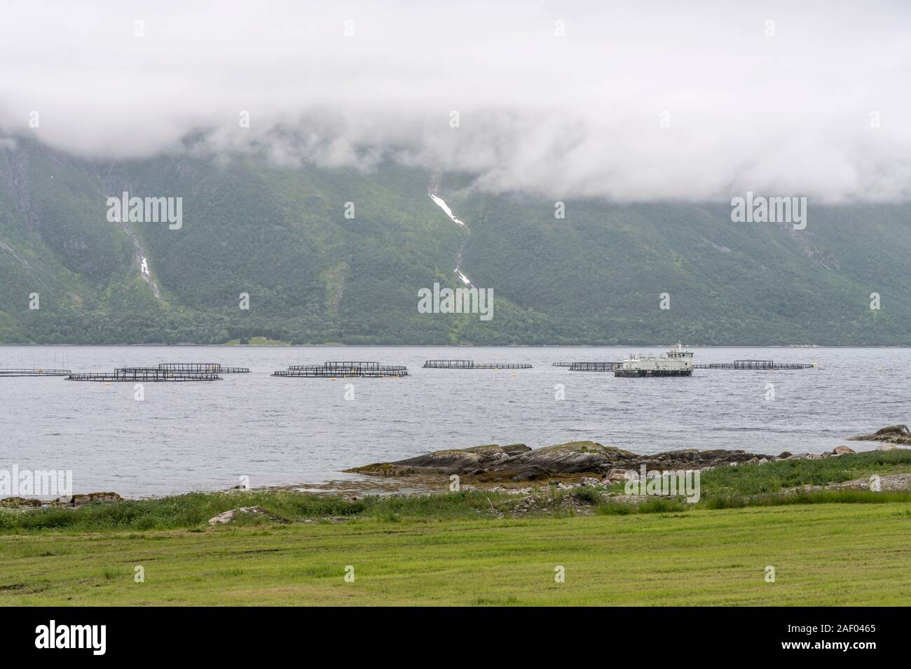Ferme de poissons sous les nuages bas dans les eaux du fjord, tourné en été lumineux nuageux lumière près de Refsnes, Hinnoya, Vesteralen, Norvège Banque D'Images