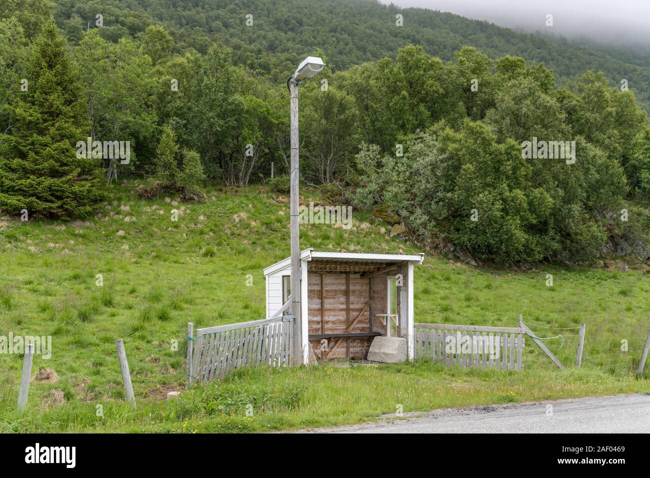 Abribus sur route dans le bouleau, tourné en été lumineux nuageux lumière près de Refsnes, Hinnoya, Vesteralen, Norvège Banque D'Images