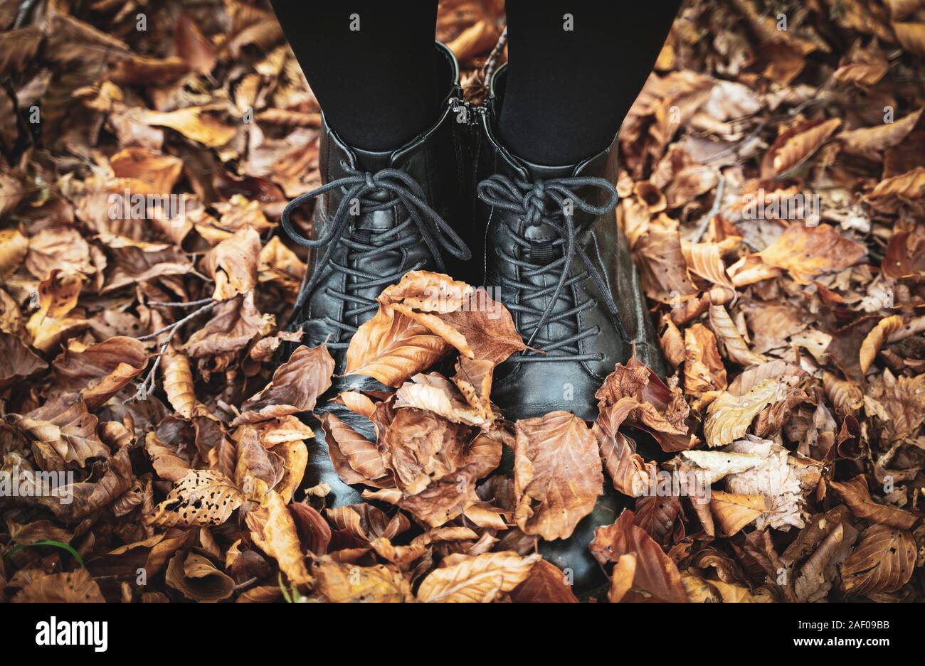Gros plan Vue de dessus de la jeune femme avec des bottes en cuir noir et bas couvert de feuilles d'automne brun Banque D'Images