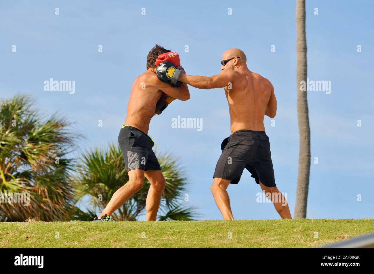 Un âge moyen, monter, male boxer avec entraîneur personnel formation musculaire coach en extérieur dans un park à Miami Beach, Floride, USA Banque D'Images