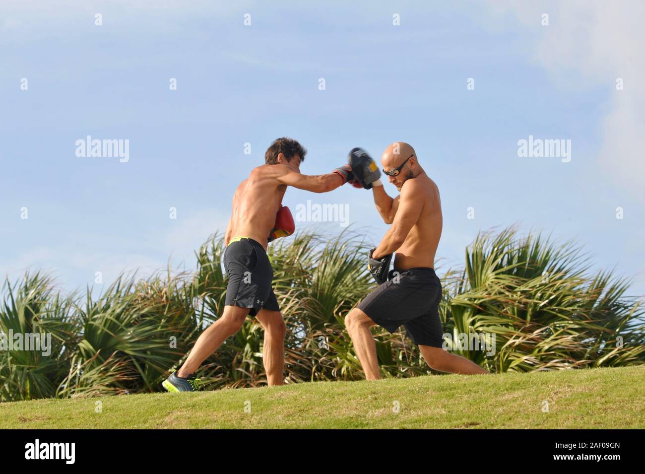Un âge moyen, monter, male boxer avec entraîneur personnel formation musculaire coach en extérieur dans un park à Miami Beach, Floride, USA Banque D'Images