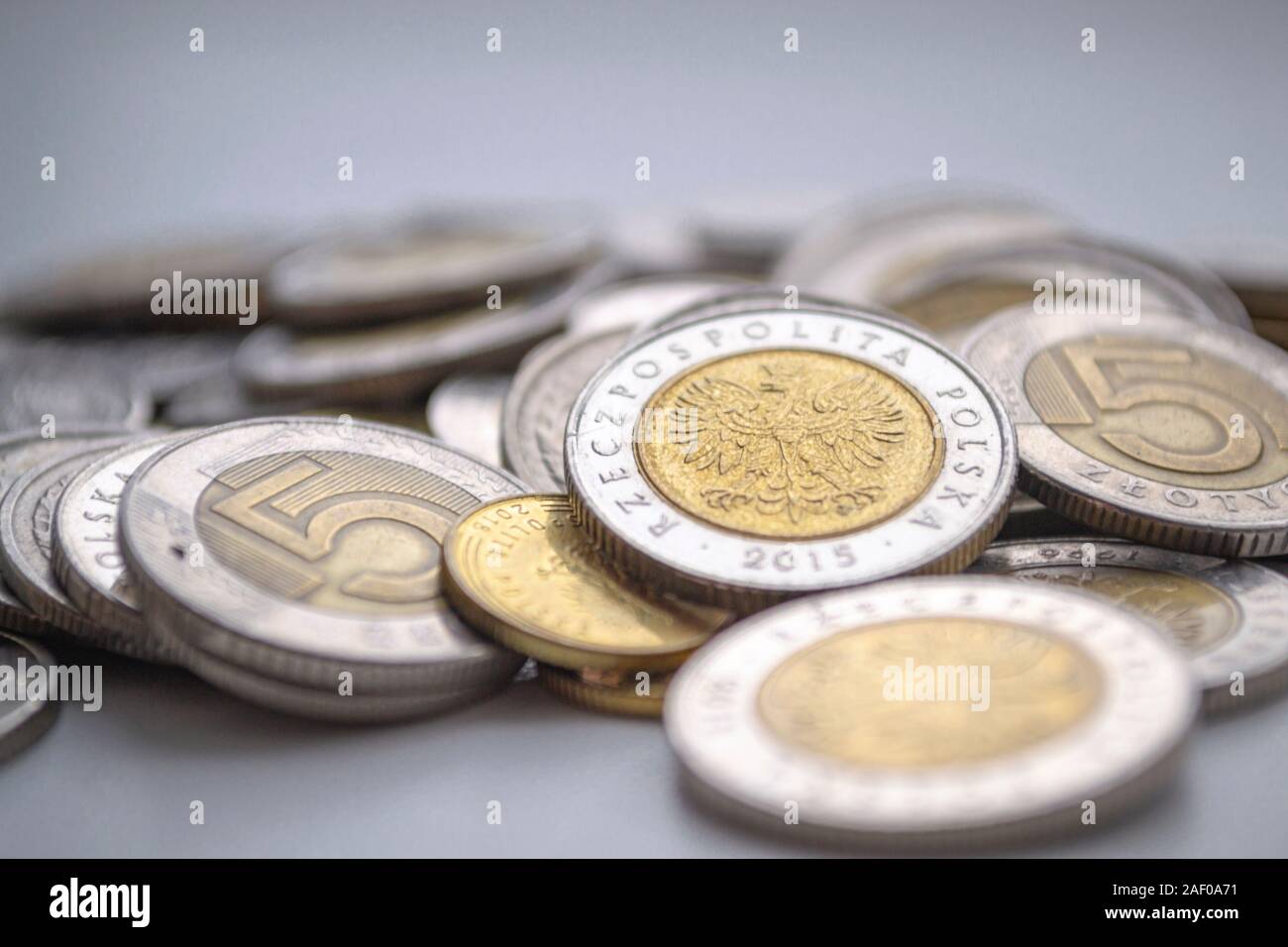 PLN. Polish Zloty monnaie. Fond d'affaires Makrophotographie Banque D'Images