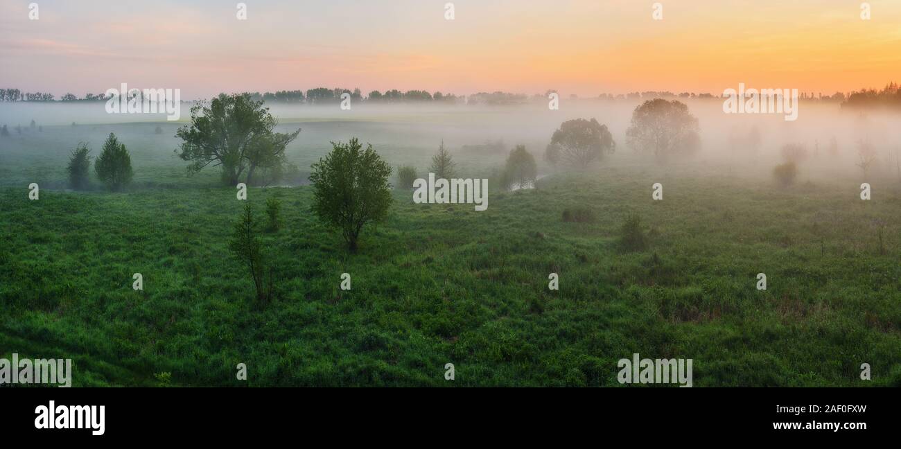 Brouillard dans la vallée de la rivière pittoresque. matin de printemps. beau lever du soleil brumeux brumeux dans une prairie Banque D'Images