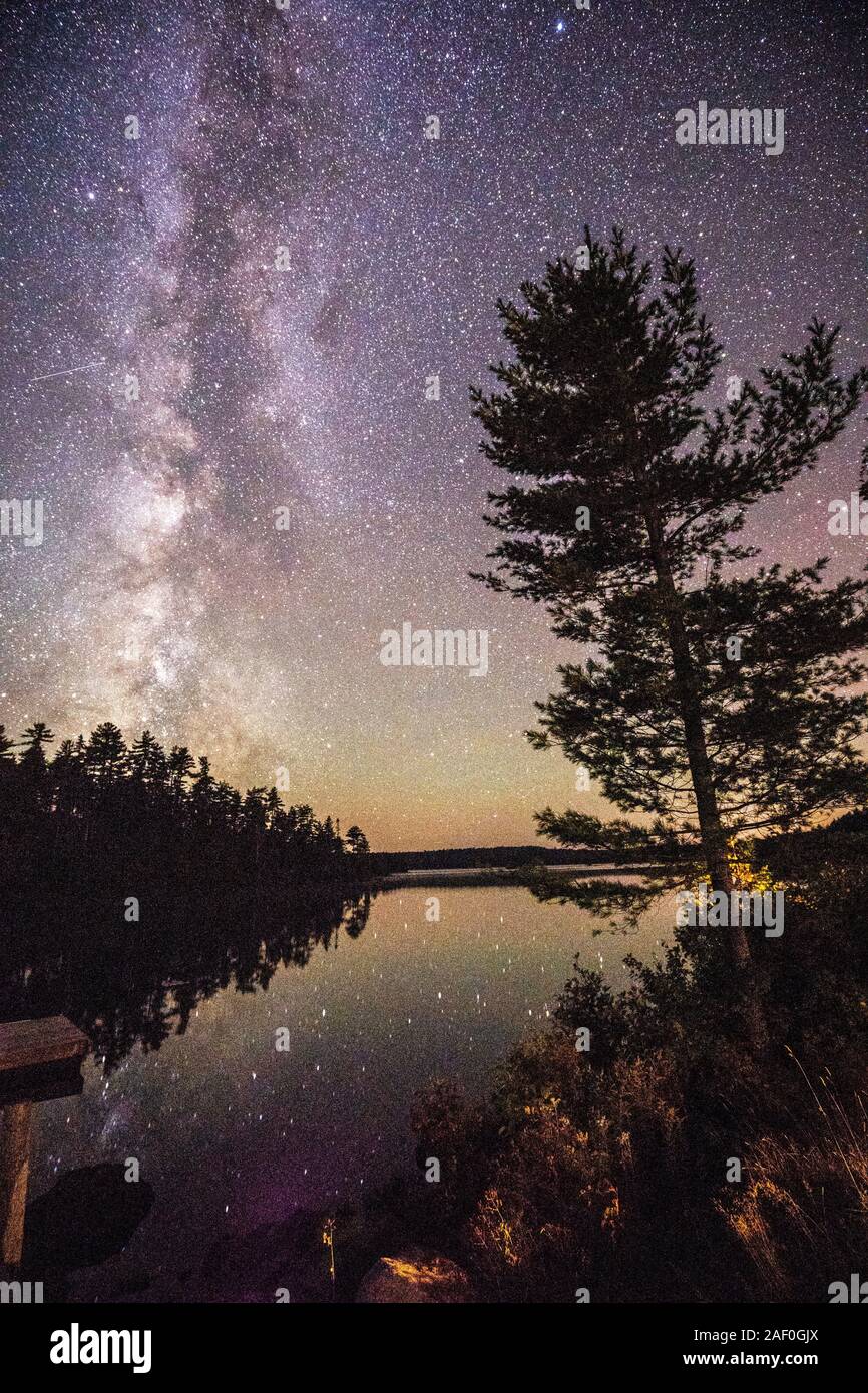 Voie Lactée avec la silhouette des arbres par un étang calme Banque D'Images