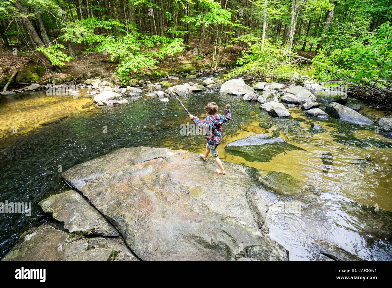 Jeune garçon jouant par River dans les bois Banque D'Images