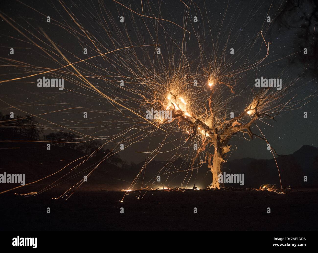 Healdsburg, United States. Dec 12, 2019. Un arbre brûlé envoie dans les braises de vent Kincade fire le long de la route 128 dans le Comté de Sonoma, en Californie, le mardi 29 octobre 2019. Les feux sont la combustion dans le Nord que dans le sud de la Californie. Photo par Terry Schmitt/UPI UPI : Crédit/Alamy Live News Banque D'Images