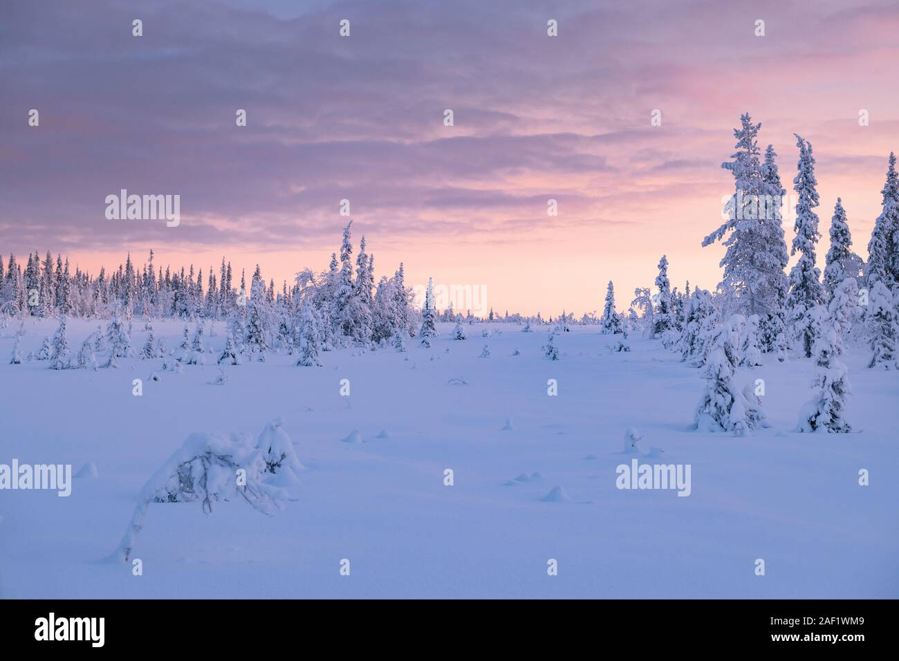 Paysage d'hiver Banque D'Images