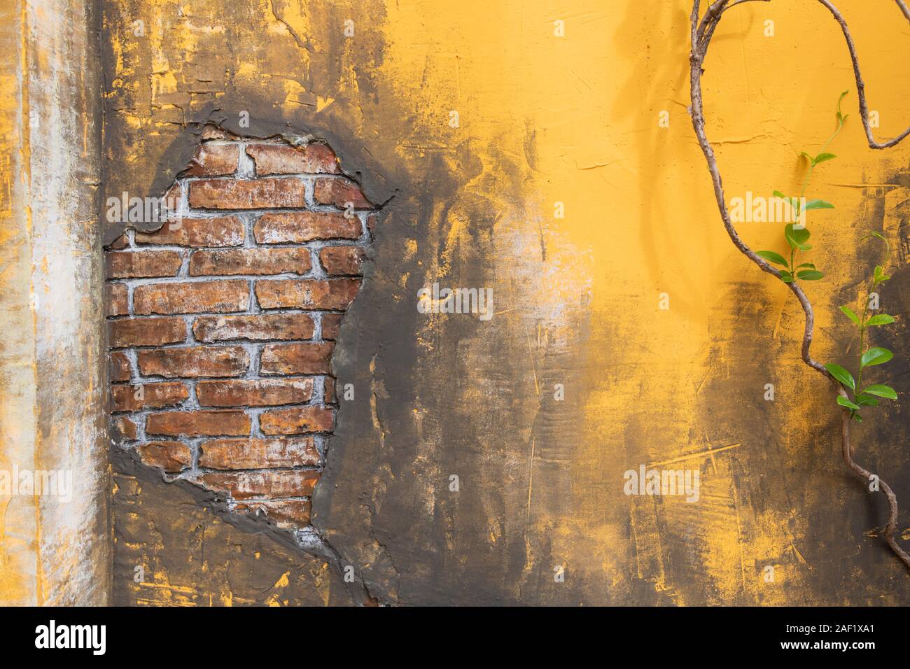 Vieux Mur jaune avec des briques montrant à travers, Vietnam Banque D'Images