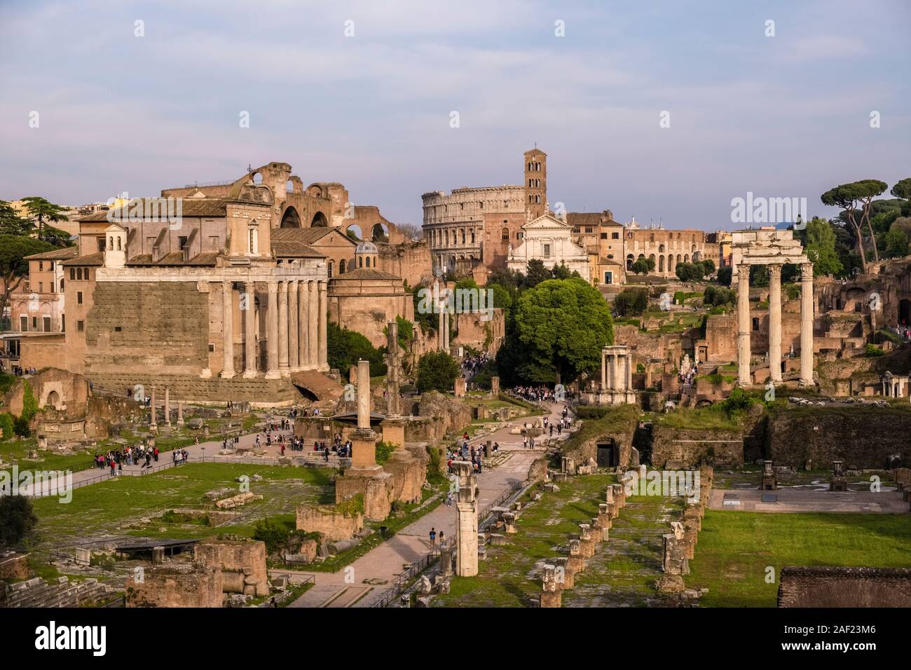 Vue sur le Forum Romain, le Forum Romain, les ruines de plusieurs bâtiments du gouvernement ancien Banque D'Images