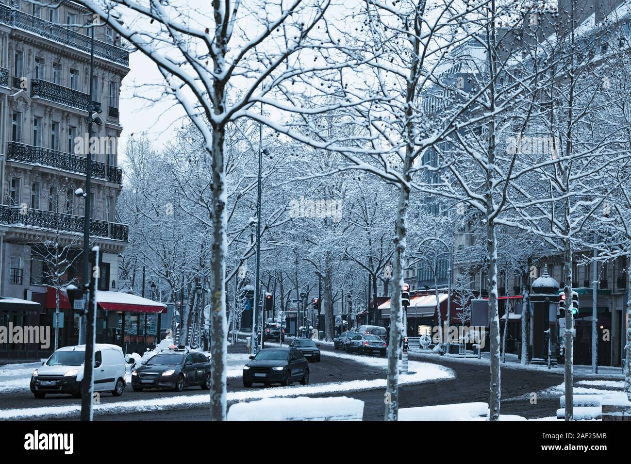 Rue de Paris, les arbres couverts de neige pendant la journée Banque D'Images