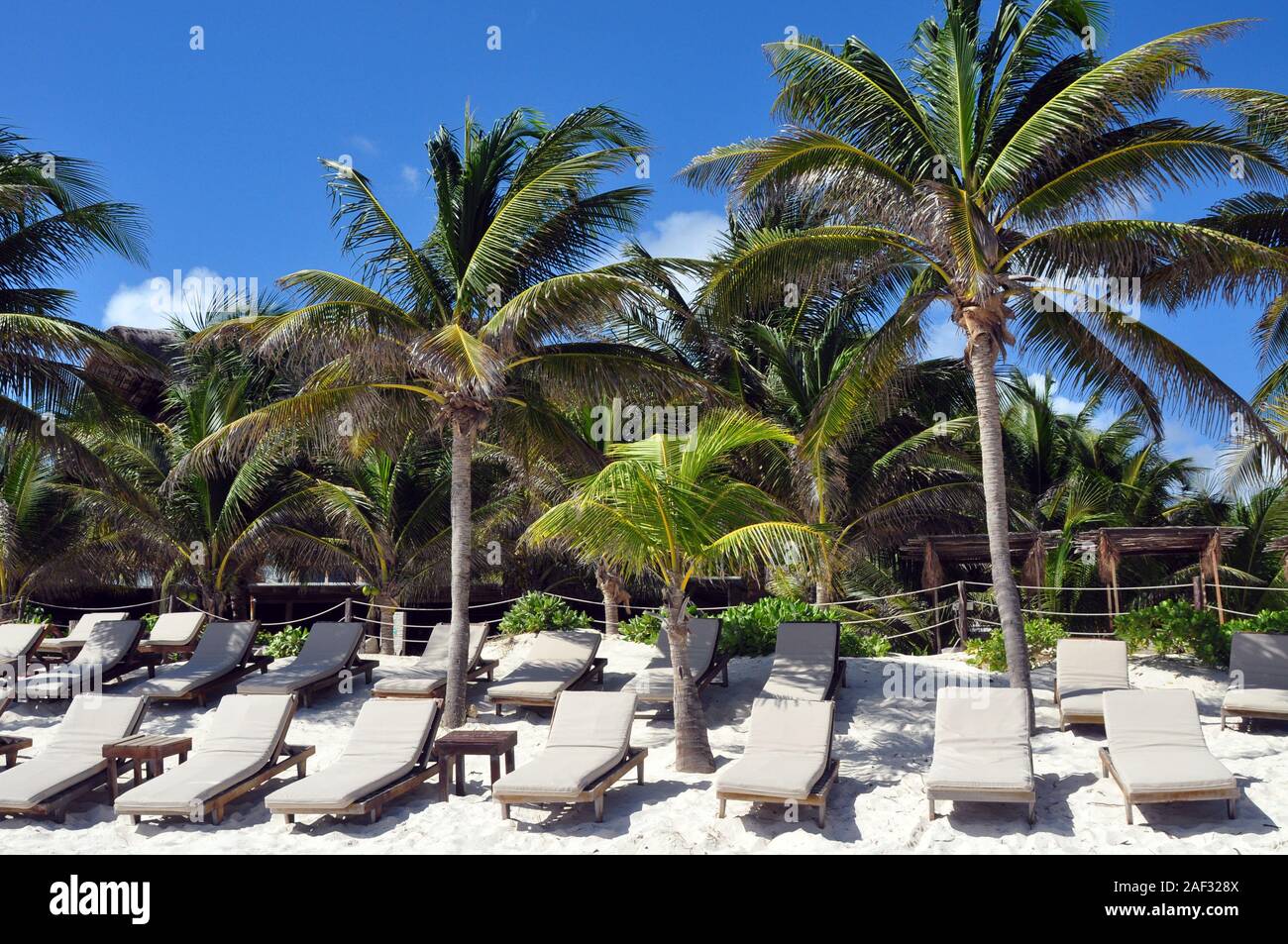 Des chaises longues en bois avec coussins de bronzage sur une plage de sable avec des palmiers tout autour. Banque D'Images