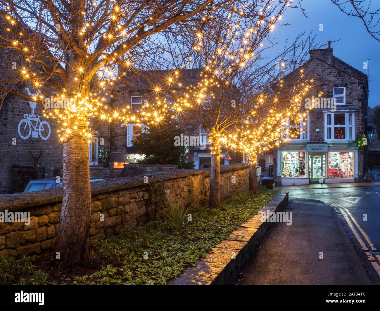 White fairy lights dans les arbres à Noël Campsites Canet-en-Roussillon à l'AONB Nidderdale North Yorkshire Angleterre Banque D'Images