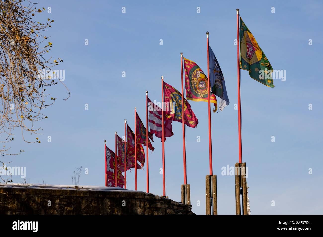 Drapeaux héraldique au château de Buda, l'hiver à Budapest, Hongrie. Décembre 2019 Banque D'Images