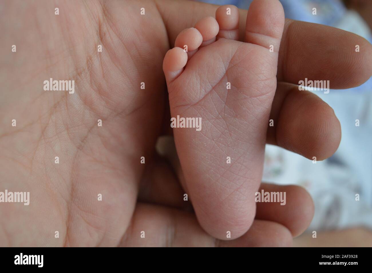 Baby foot,s Banque D'Images