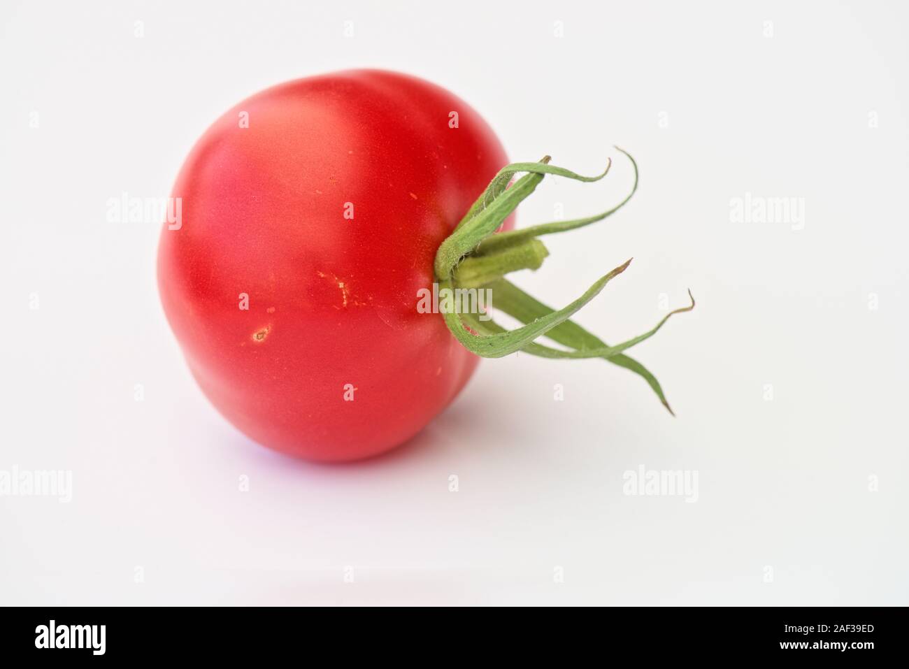 CHE, Berne. Tomaten Berner Rose (Solanum lycopersicum). Banque D'Images