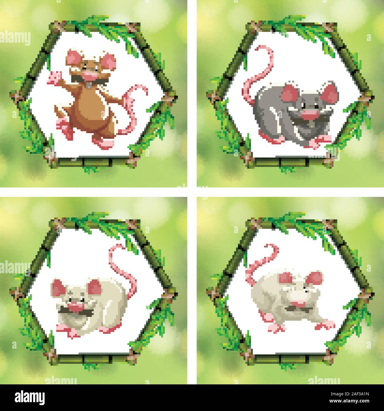 Quatre différents rats dans l'illustration des trames de bambou Illustration de Vecteur