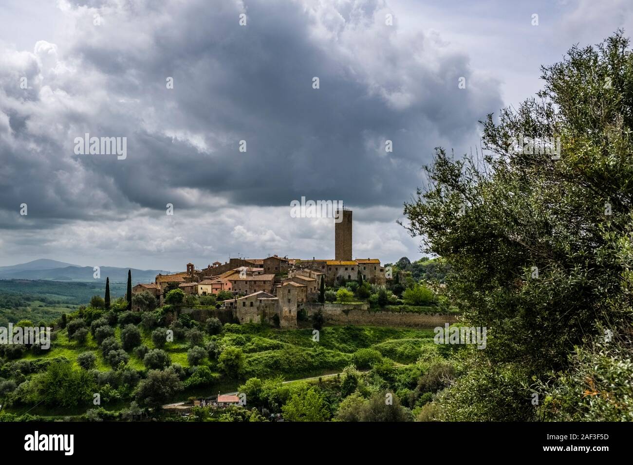 La ville médiévale est située sur une colline boisée avec des champs d'oliviers, l'église San Giovanni Battista recouvrir les maisons Banque D'Images