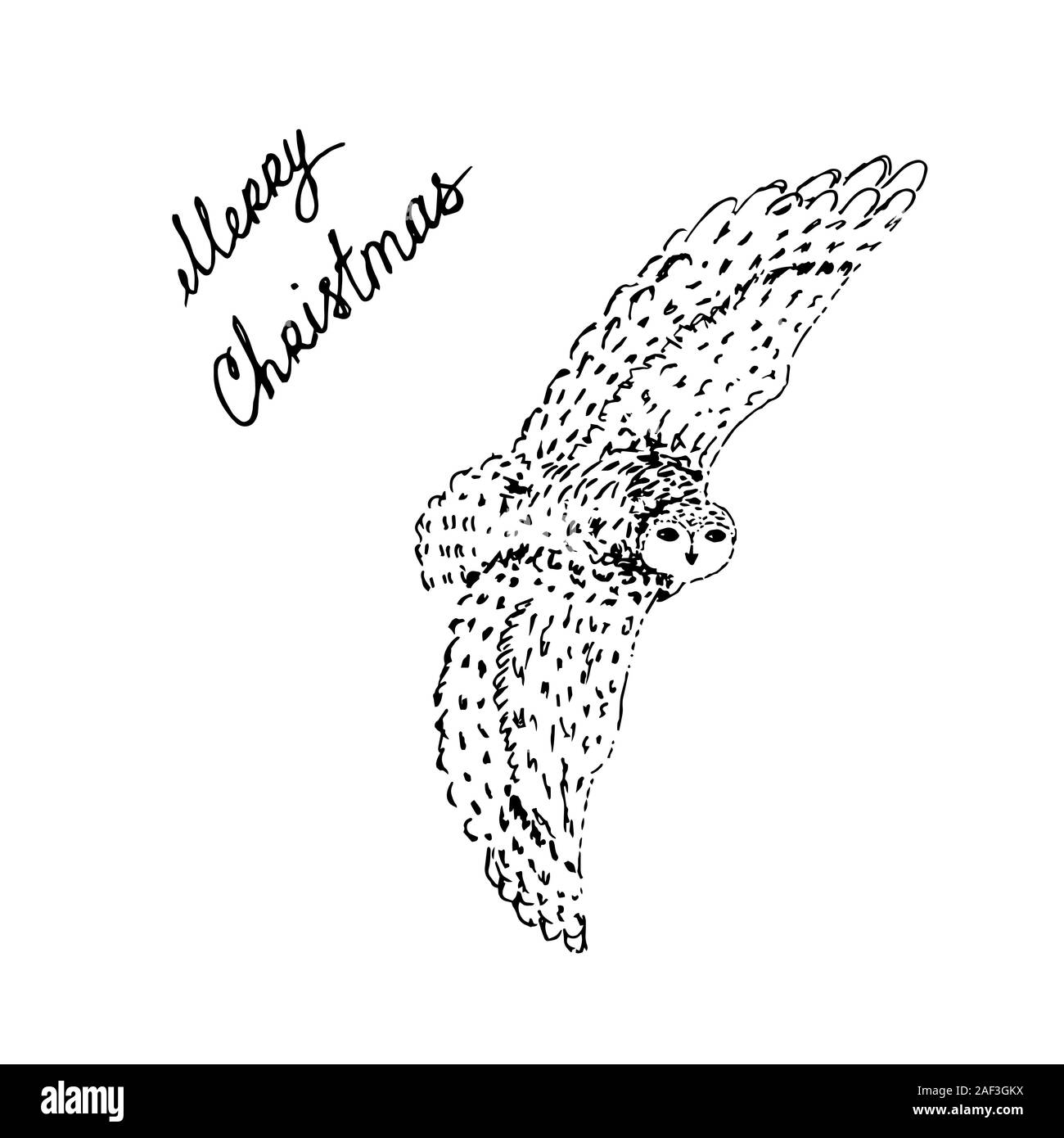 L'Arctique polaire chouette blanche avec Joyeux Noël lettres. Contour noir sur fond blanc. Photo peut être utilisé dans les cartes de vœux, affiches, flyers, bannières, logo, conception d'illustration vectorielle, etc.. EPS10 Illustration de Vecteur
