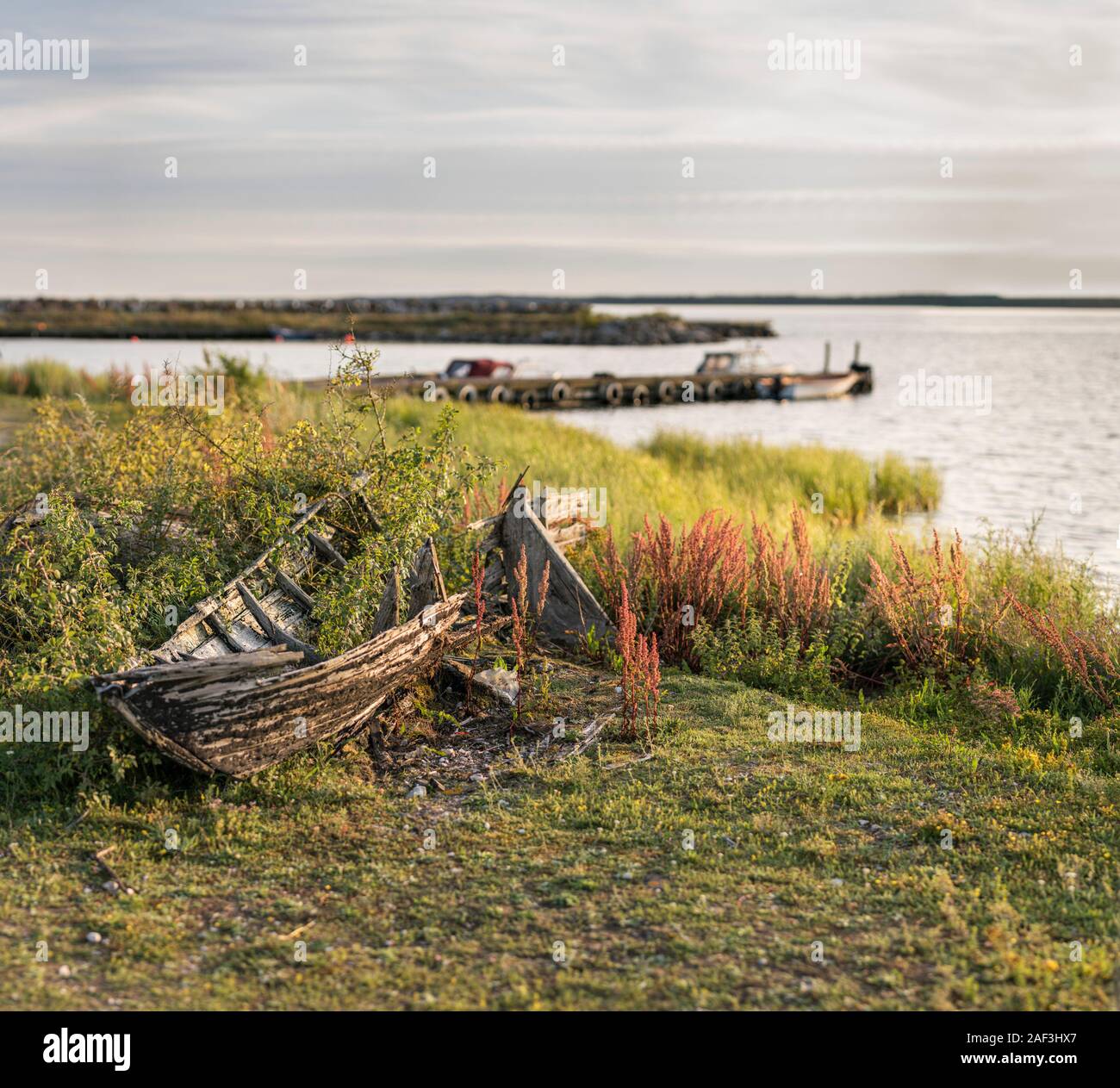 Ruines de vieux bateau en bois, Gotland, Suède, Scandinavie. Banque D'Images