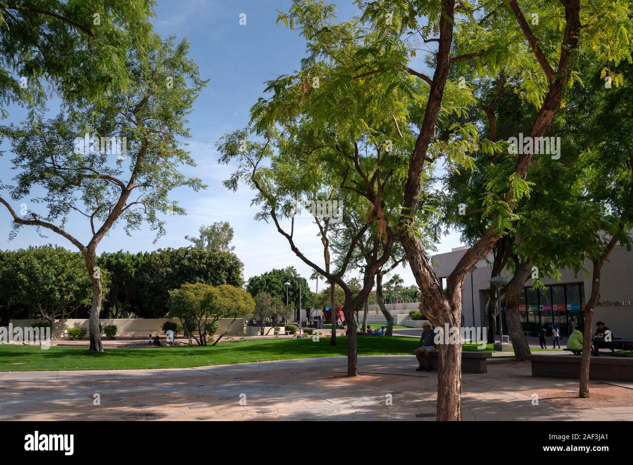 SCOTTSDALE, Arizona - 21 octobre 2017 : espace vert en face de Scottsdale Center for the Performing Arts, Civic Center Mall. Banque D'Images