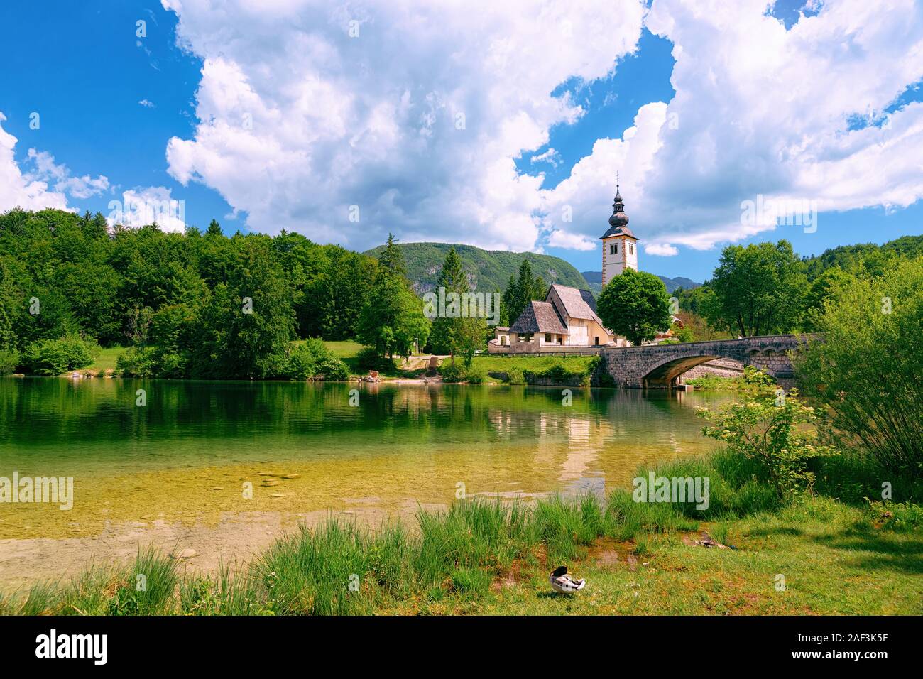 Paysage avec église Saint Jean-Baptiste lac de Bohinj en Slovénie Banque D'Images