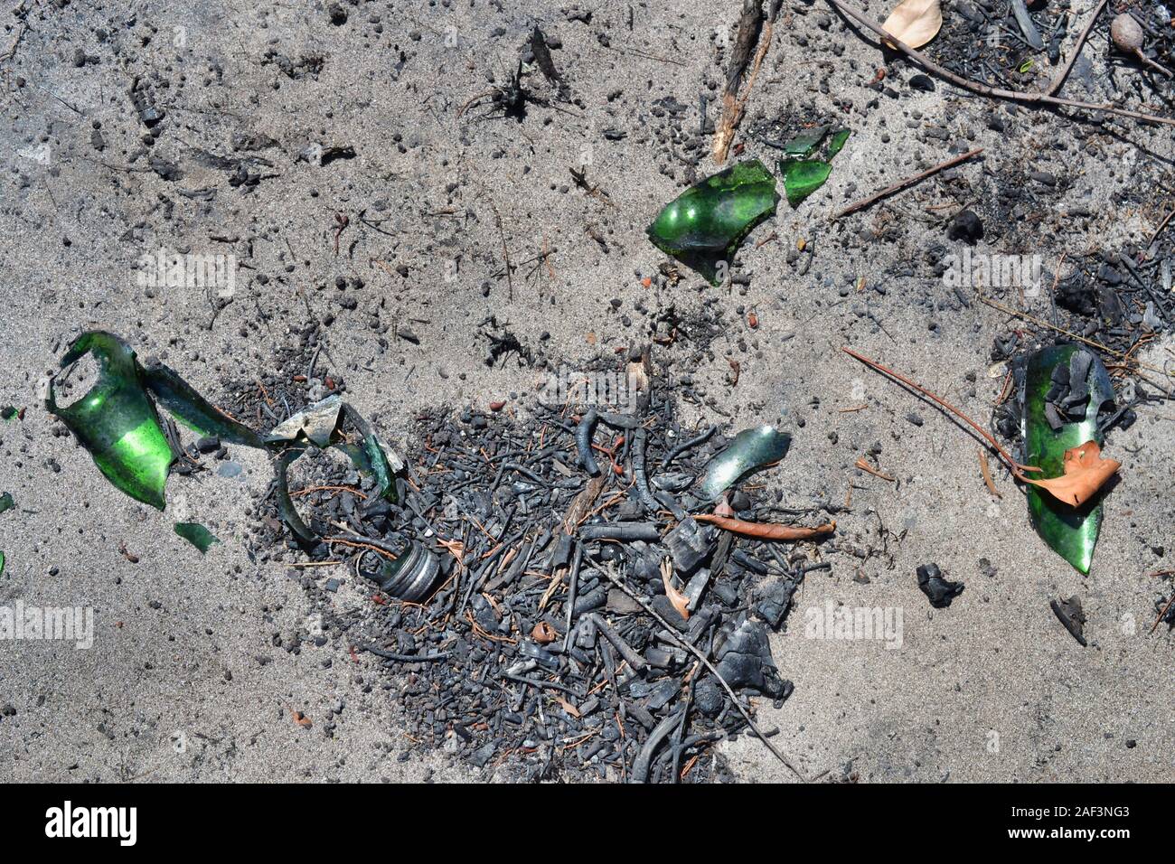 Brûlé vestiges calcinés de bâtons et de bouteilles sur le sol après les feux de brousse a balayé la région. Janvier 2019 Bribie Island, Queensland, Australie Banque D'Images