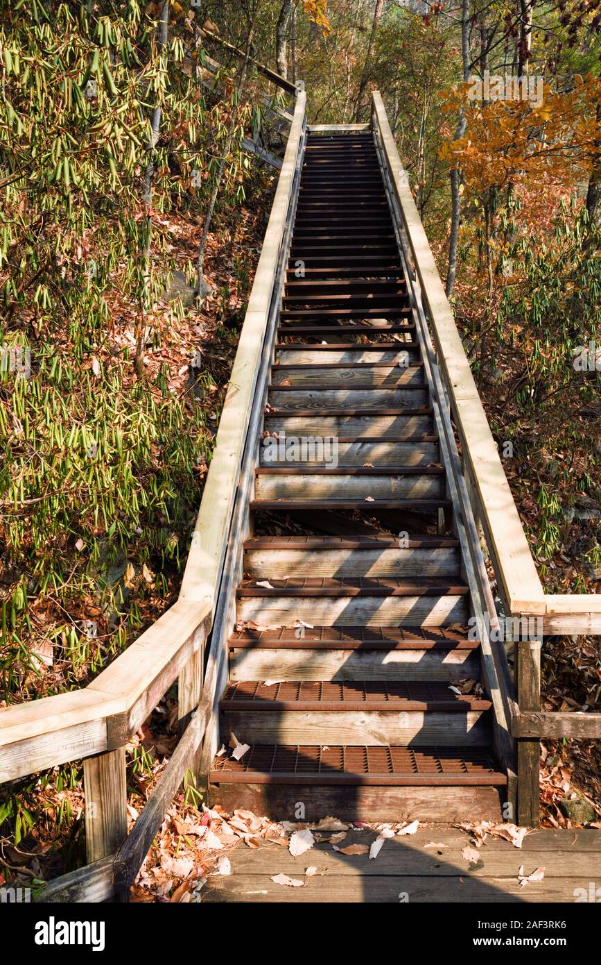 Parc national des Gorges de Tallulah Tallulah Falls en Géorgie AUX ETATS UNIS fournit une série de passerelles en bois pour les randonneurs de profiter du parc public. Banque D'Images