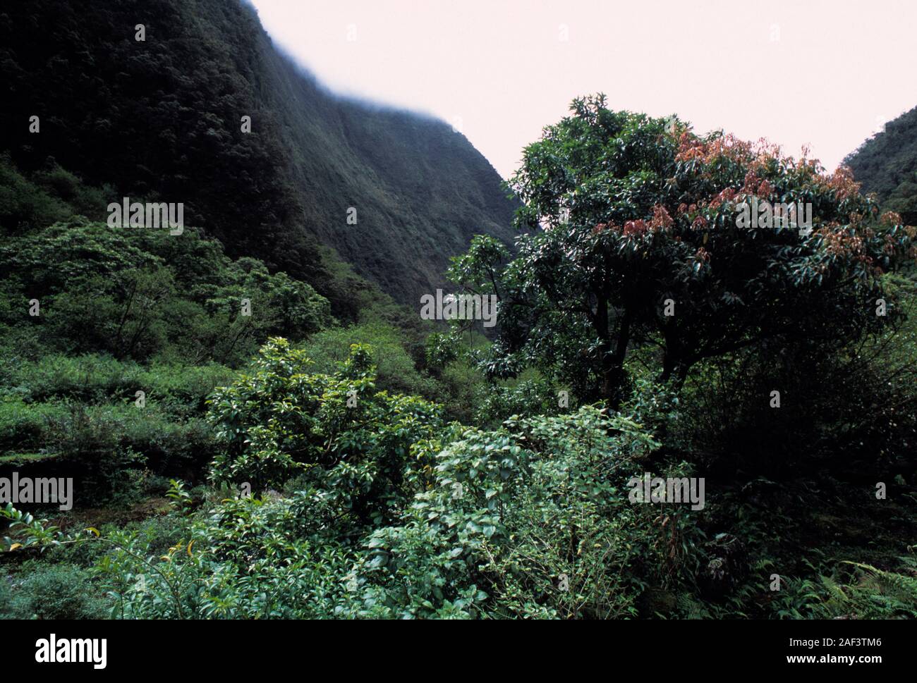 Hawaii, Hawaiian, l'océan Pacifique, les îles, l'archipel hawaïen, volcanique, archipel, Polynésie, Océanie, Hawaiʻi, Big Island, île, Hawaiʻi Banque D'Images