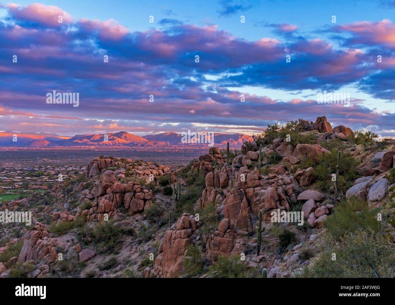 Lever tôt le matin voir le sentier de randonnée de Pinnacle Peak et parc en Nord de Scottsdale, Arizona. Banque D'Images