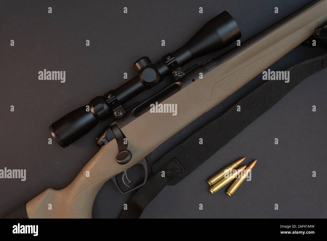 Fusil de chasse à portée chambré dans Win .308. Banque D'Images