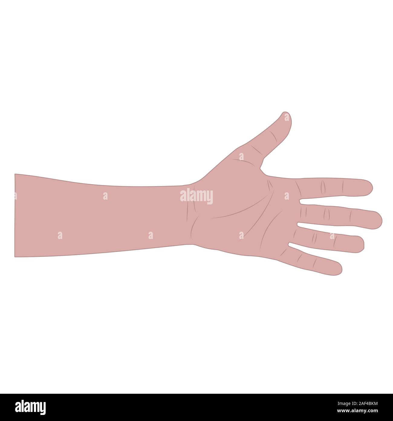 Bracelet blanc mâle isolé d'illustration vectorielle stock. Illustration de Vecteur