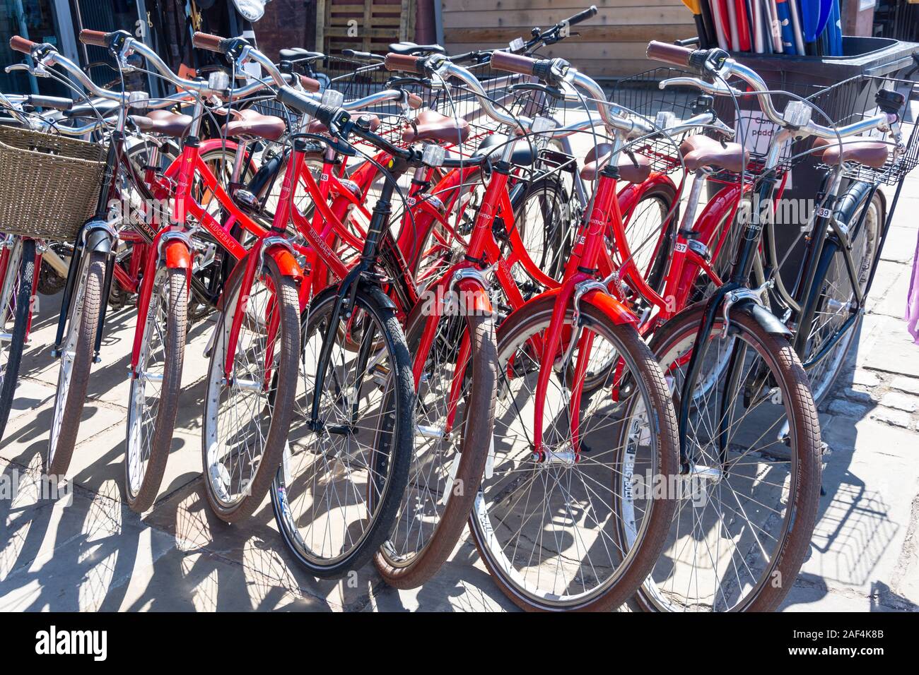 Louer des vélos à l'extérieur de magasin de location, King's Wharf, le quai, Exeter, Devon, Angleterre, Royaume-Uni Banque D'Images