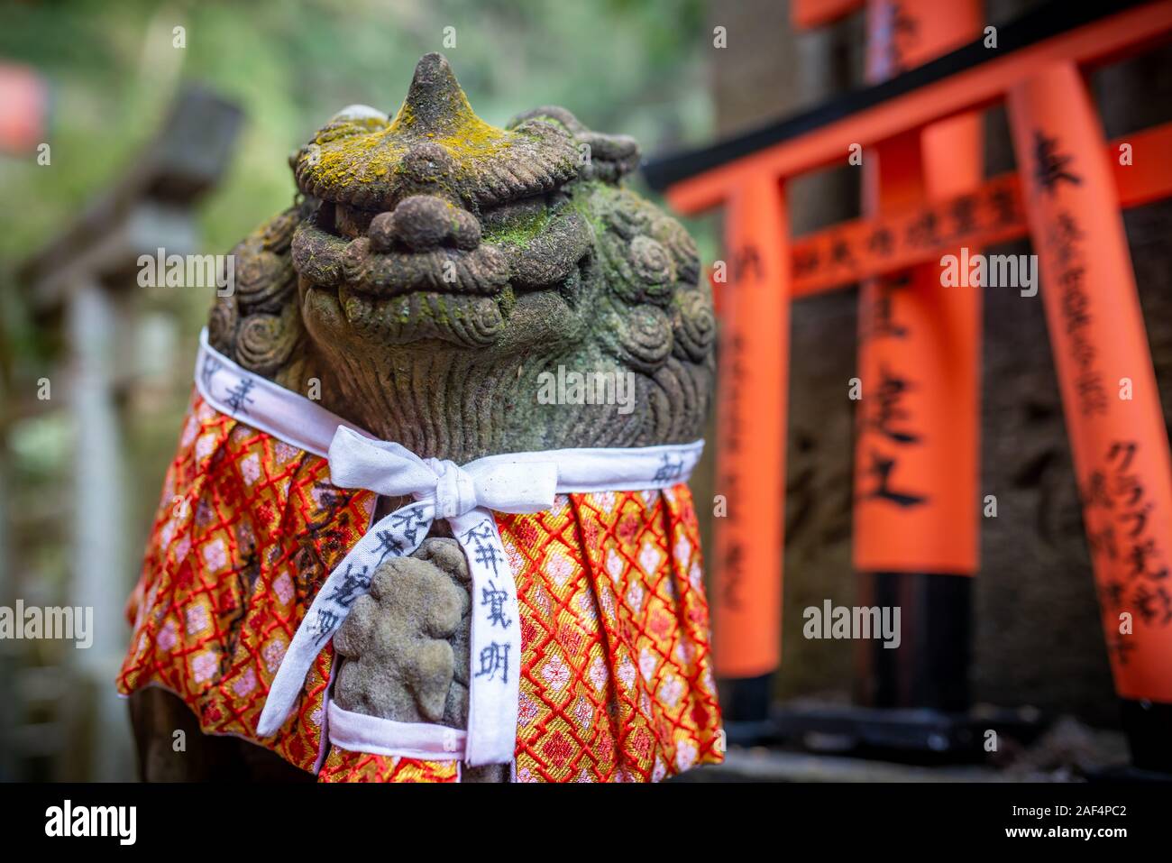 Kyoto, Japon - 24 mars 2017 : statue dieu habillés et tori barrières au Sanctuaire Fushimi Inari, prises sous le soleil d'après-midi de printemps Banque D'Images