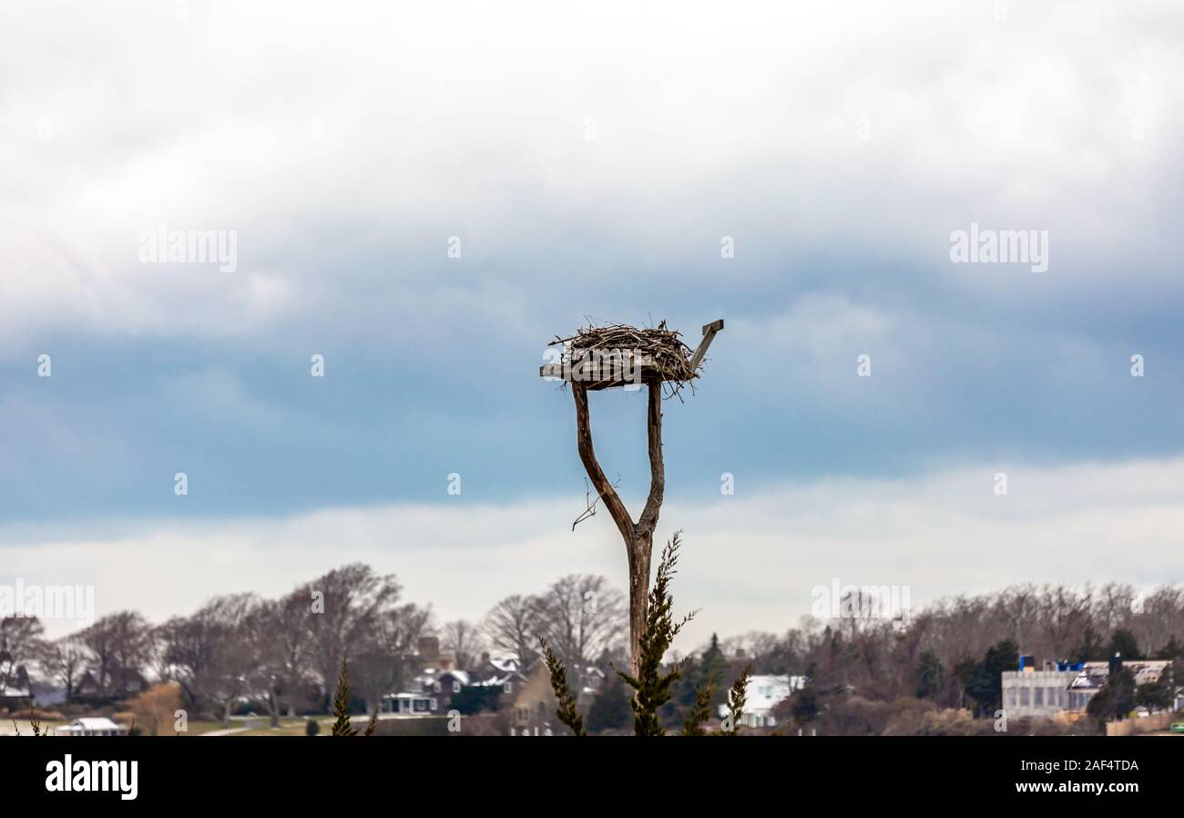 Osprey inoccupées nid dans un paysage d'hiver, Shelter Island, NY Banque D'Images