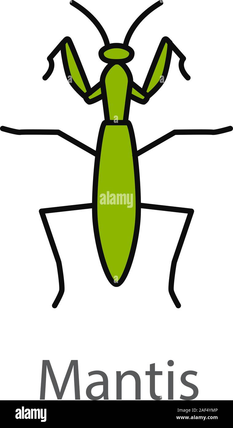 La mante religieuse l'icône de couleur. Mantodea. Insecte. Vector illustration isolé Illustration de Vecteur