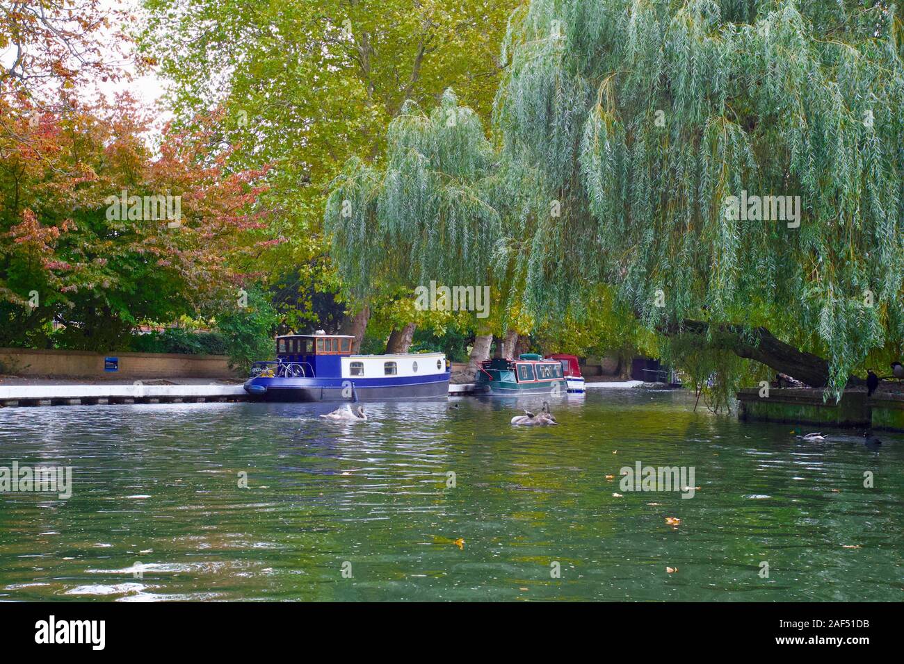 Regent's Canal, Camden Town, Londres, Angleterre. Banque D'Images