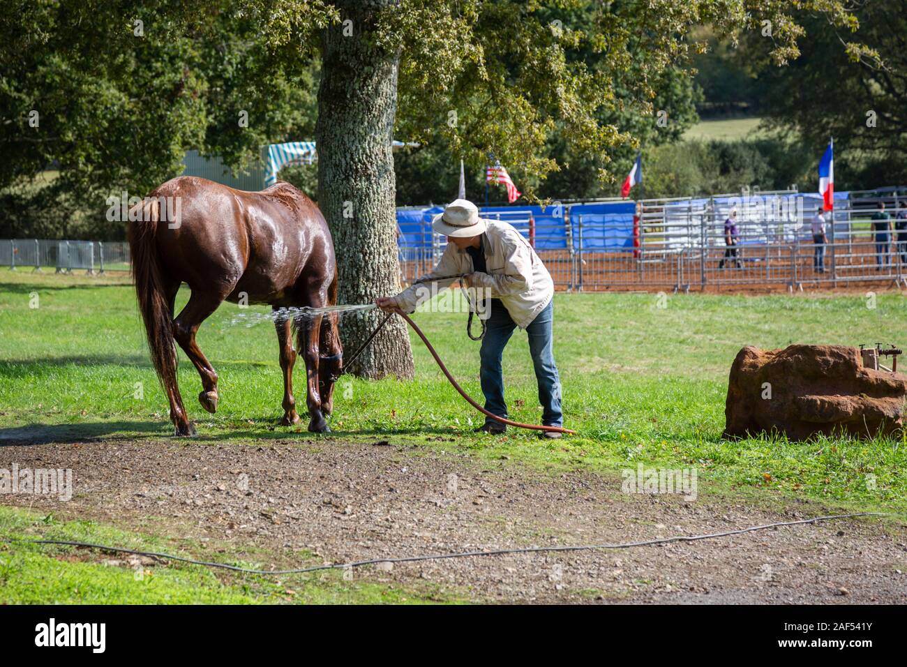 Man un cheval, foire aux chevaux à Chaillac, Indre, France Banque D'Images