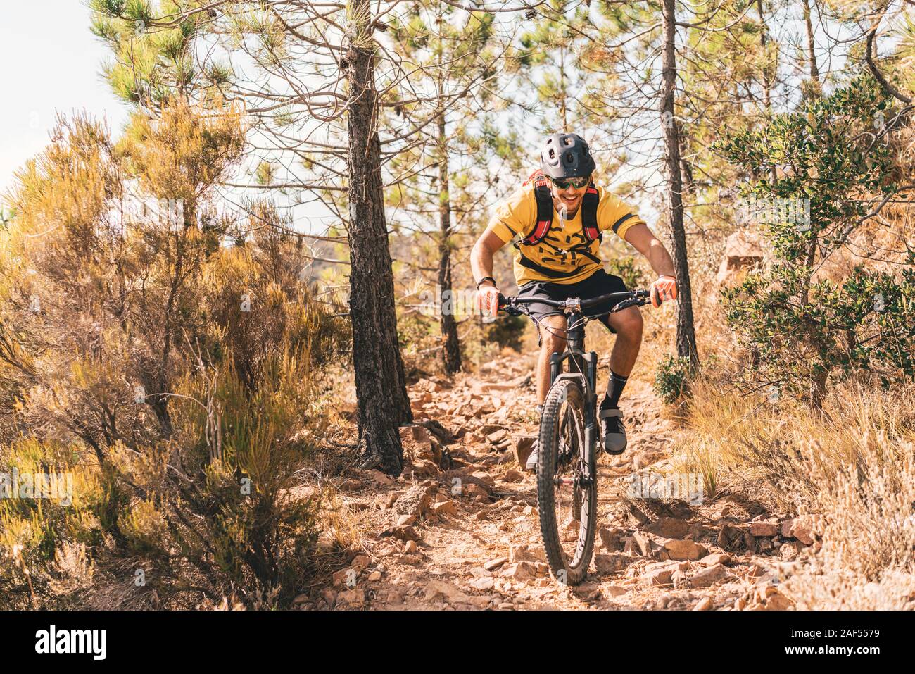 Le mâle en mountainbike entre arbres dans le sud de la France Banque D'Images