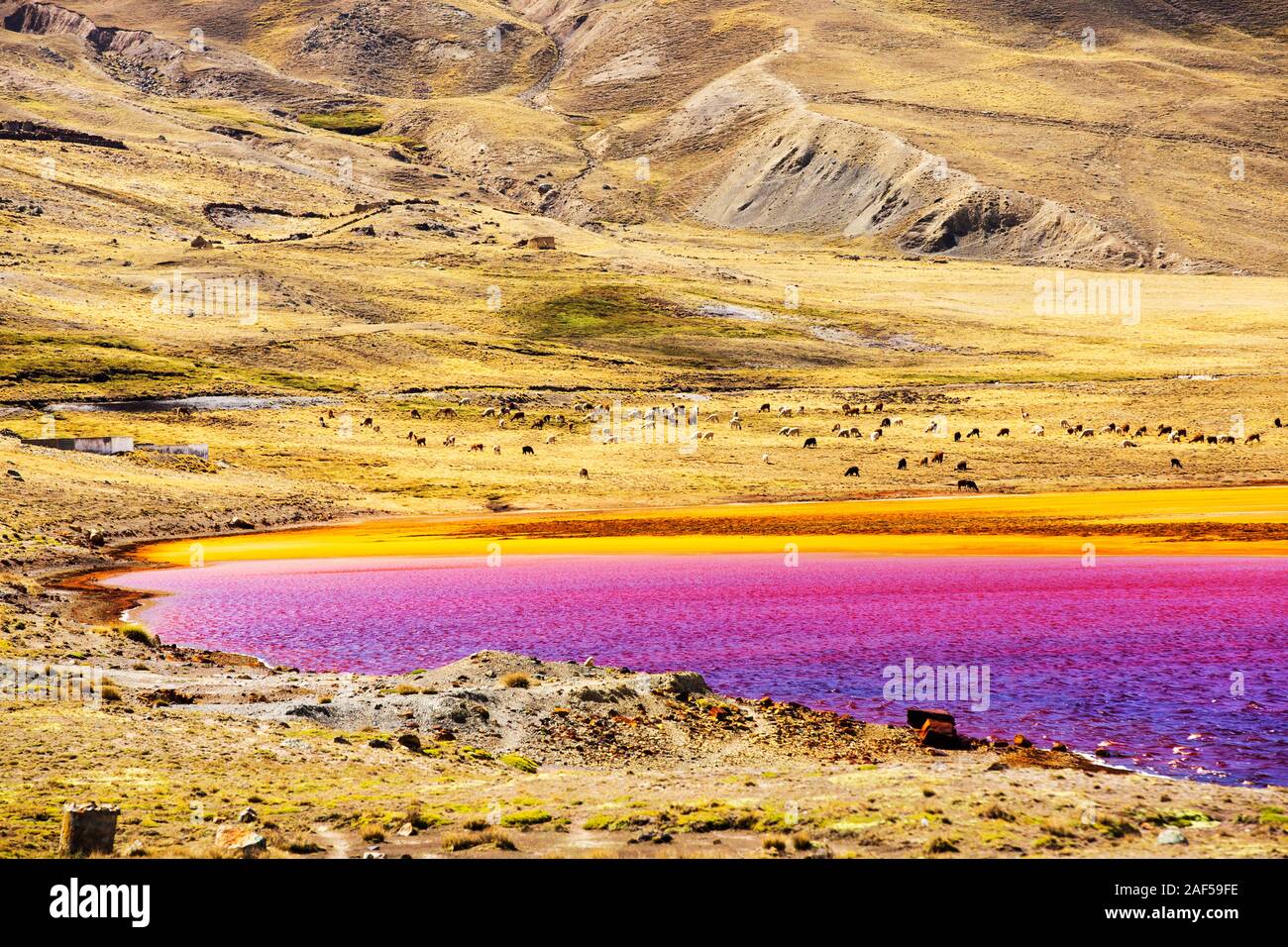 Miluni Laguna est un réservoir alimenté par les eaux de fonte des glaciers andins du pic de Huayna Potosi dans les Andes Boliviennes. Que le changement climatique le casuses glaci Banque D'Images